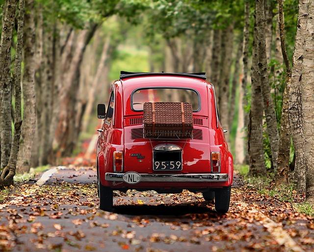 fiat 500, automobile, trees